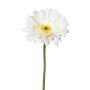 Fleur artificielle Gerbera VORNEK, blanc, 65cm