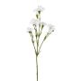 Branche décorative Bleuet FRAVLE, blanc, 60cm