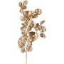 Branche décorative Eucalyptus DRAVEL, or, 75cm