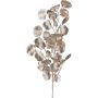 Branche décorative Eucalyptus DRAVEL, champagne, 75cm