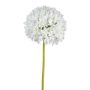 Fleur décorative Allium KLATE, blanc, 90cm