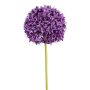Fleur décorative Allium KLATE, violet, 90cm
