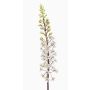 Fleur synthétique bougie des steppes SCHENRA, blanc-vert, 95cm