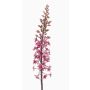 Fleur synthétique bougie des steppes SCHENRA, fuchsia, 95cm