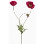 Rameau décoratif de pavot SCHUNRA, fuchsia, 75cm