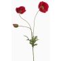 Rameau décoratif de pavot SCHUNRA, rouge, 75cm