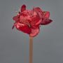 Fleur artificielle d'amaryllis en velours KIRSTY, rouge, 70cm, Ø13-15cm