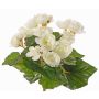 Bégonia artificiel BIRMA sur tige, crème, 20cm, Ø3-5cm