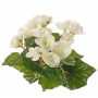 Bégonia artificiel BIRMA sur tige, crème, 20cm, Ø3-5cm
