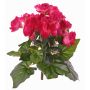 Bégonia artificiel BIRMA sur tige, fuchsia, 20cm, Ø3-5cm