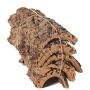 Morceaux d'écorce de liège naturel DIANTHA, 5 pièces, marron, 50x25cm