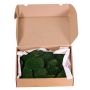 Véritable mousse en plaques DIMITRA, verte, 800g, 0,15 m²