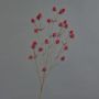 Branche décorative de chardon noble LOUKAS, rouge, 70cm, Ø1-1,5cm