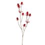 Branche décorative de chardon noble LOUKAS, rouge, 45cm, Ø1-1,5cm