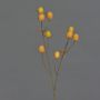 Branche décorative de chardon noble LOUKAS, jaune-orange, 45cm, Ø1-1,5cm