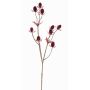 Branche décorative de chardon noble LOUKAS, rouge bordeaux, 45cm, Ø1-1,5cm