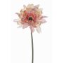 Fleur artificielle Gerbera PAMILLA, vieux rose-crème, 65cm, Ø12cm