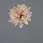 Fleur artificielle Gerbera PAMILLA, vieux rose-crème, 65 cm, Ø 12 cm