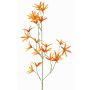 Fleur artificielle: branche de Tweedia solanoides PALLAS, orange, 70cm, Ø5cm