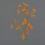 Fleur artificielle: branche de Tweedia solanoides PALLAS, orange, 70cm, Ø5cm