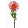 Coussin à épingles artificiel Protea BAILY, orange, 55 cm, Ø 10 cm