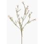 Branche de fleur artificielle de bleuet ZENOBIOS, crème, 80 cm, Ø 3-4 cm
