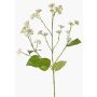 Branche décorative d'eupatoire KORALIA, crème, 80cm, Ø4-7cm