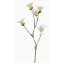 Oeillet japonais artificiel KASTALIA, crème, 65cm, Ø4-5cm