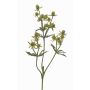 Branche de chardon noble artificielle KALYPSO, verte, 65cm, Ø3-4cm