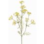 Branche d'aneth artificielle WINCENT avec fleurs, jaune, 80 cm, Ø 5-7 cm