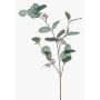 Branche artificielle d'eucalyptus MAXEN avec fruits, vert-gris, 75 cm