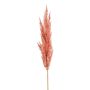 Pampas artificielle en panicule SIWON, mauve, 90 cm