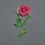 Fleur artificielle rose PEZOS, bordeaux, 60 cm, Ø 10 cm