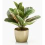 Plante artificielle SITULA dans un pot en céramique doré, vert-rouge, 30cm
