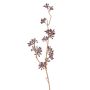 Branche d'eucalyptus en plastique SOHA avec fruits, marron, 60cm