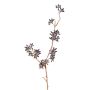 Branche d'eucalyptus en plastique SOHA avec fruits, marron foncé, 60cm