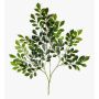 Branche artificielle de scutellaire SCUTI, verte, 70 cm