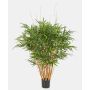 Bambou artificiel AFONSO, troncs naturels, 125 cm
