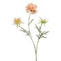 Branche décorative de scabieuse MARUA, couleur pêche, 80cm