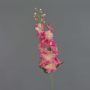 Fleur artificielle Pied d'alouette SETSUKO, rose-fuchsia, 95cm, Ø14cm