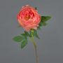 Pivoine synthétique BARBRO, corail, 65cm, Ø11cm