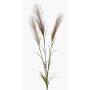 Branche décorative d'herbe de la pampa ADNANE avec panicules, marron, 90 cm