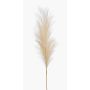 Pampas artificielle en panicule AMATSIA, crème, 115 cm