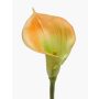 Calla artificielle DAISCHI, jaune-vert, 70 cm, 11 x 14 cm