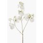 Fleur artificielle de pois de senteur KANZI, blanche, 75 cm, Ø 4-7 cm