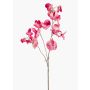 Fleur artificielle : pois de senteur KANZI, rose-crème, 75 cm, Ø 4-7 cm