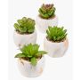 Succulentes décoratives LOYE dans un pot en marbre, lot de 4, vert, 13-15cm