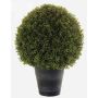 Buis synthétique TOM en cache-pot, crossdoor, 68cm, Ø50cm