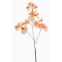 Fleur artificielle « pois de senteur » KANZI, couleur pêche, 75 cm, Ø 4-7 cm