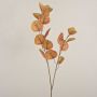 Branche d'eucalyptus artificielle SOPONG, marron, 80 cm